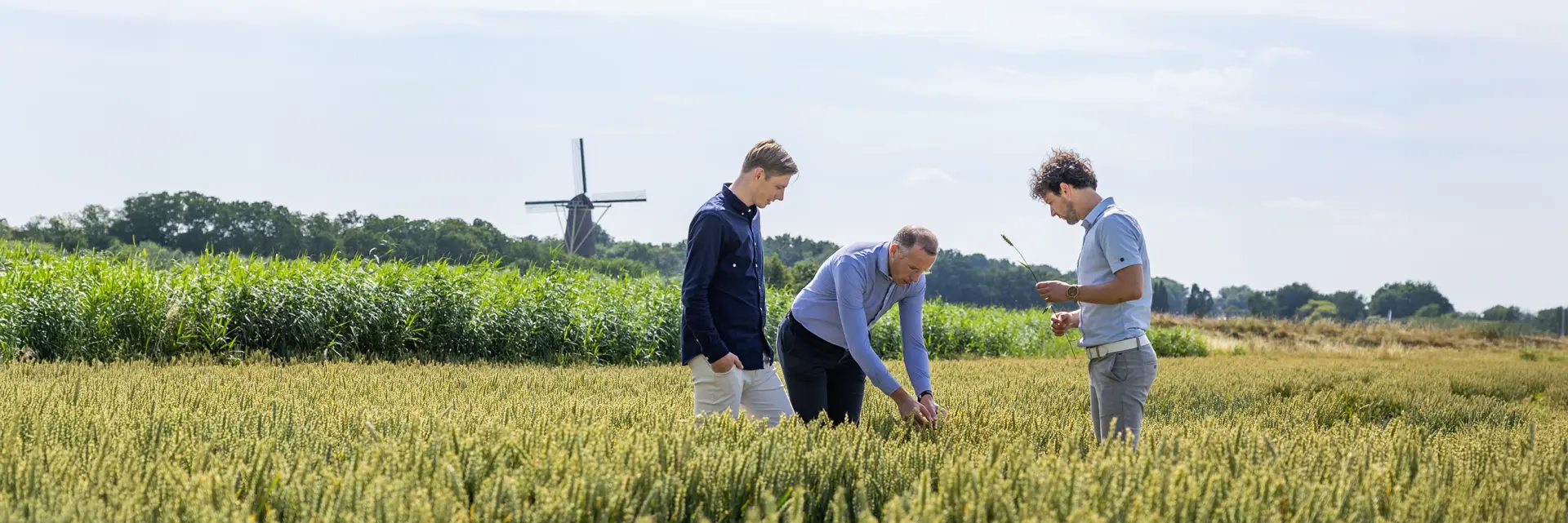 Hero 3 breed Euser en Schaap
