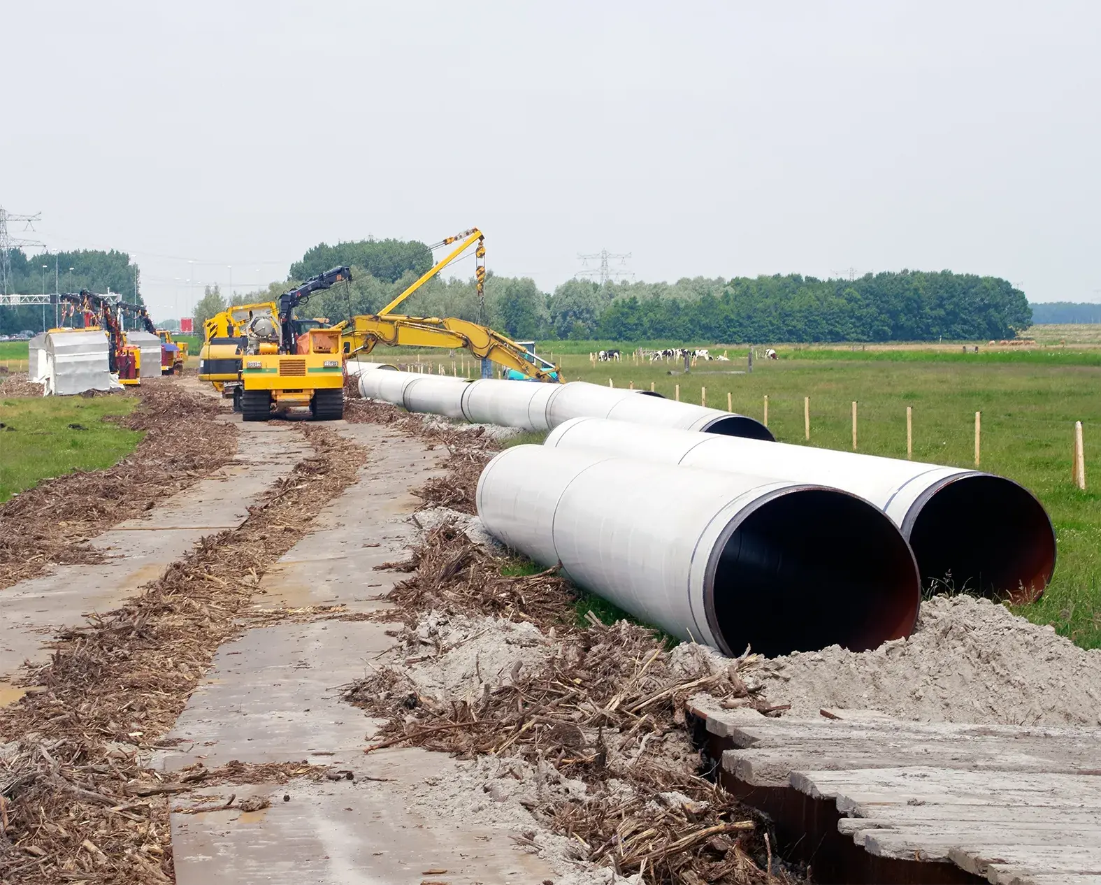 Zakelijke rechten Euser en Schaap